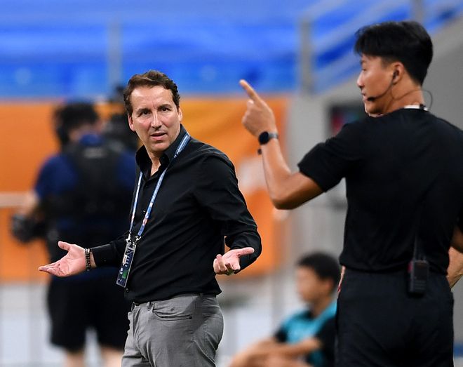 包含里程碑夜上海申花迎来里程碑；欧篮联国际比赛日刷纪录；压力陡增；医务组通报恢复的词条